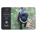 Recherche de chiens et chats magnets Dogs