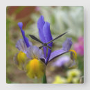 Recherche de iris horloges Vert