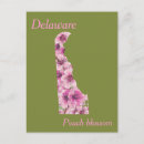 Recherche de état du delaware cartes postales Rose