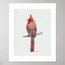 Recherche de cardinal rouge art Oiseau