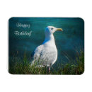 Recherche de mouettes magnets Goéland