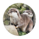Recherche de loutre planches à découper Pour tous