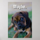 Recherche de chien brun posters Portrait