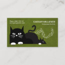 Recherche de chat pourri Animal de compagnie