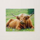 Recherche de affection puzzles Animal