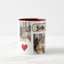 Recherche de mon chien tasses Pour animaux
