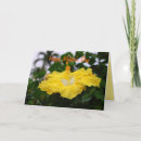 Recherche de hibiscus vœux cartes Jaune