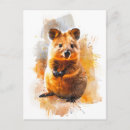 Recherche de quokka cartes postales Animaux