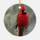 Recherche de cardinal photo ornements Oiseaux