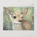 Recherche de faon cartes postales Mignon