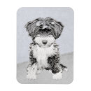 Recherche de tibétain magnets Dog