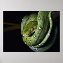 Recherche de amazone posters Noir