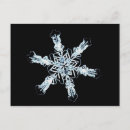 Recherche de micrographie cartes postales Sciences naturelles