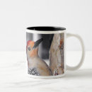 Recherche de pivert tasses Animaux