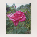 Recherche de rayures roses puzzles Rayé
