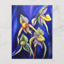 Recherche de bleu exotique cartes postales Pour elle