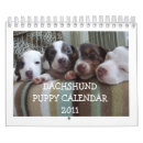 Recherche de teckel calendriers Chiots
