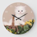 Recherche de persan horloges Amoureux des chats