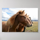 Recherche de suite posters Animal