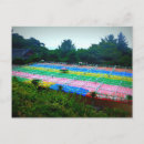 Recherche de grotto cartes postales Paysage