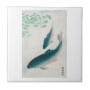 Recherche de koi carpe carreaux Nature
