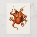 Recherche de illustration de poulpe cartes postales Vie marine