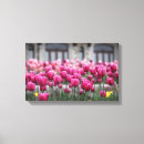 Recherche de toile de tulipe Violet
