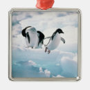 Recherche de pingouin mignon ornements Animaux
