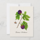 Recherche de illustrations vintages de fruit vœux cartes Botanique