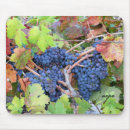 Recherche de vallée tapis souris Vin