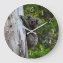 Recherche de koalas horloges Pour tous