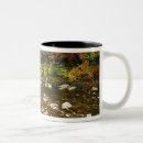 Recherche de mountain tasses New hampshire