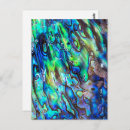 Recherche de abalone cartes postales Coquille