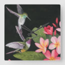 Recherche de de colibri horloges Fleurs