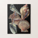 Recherche de créatures mer puzzles Dollar de sable