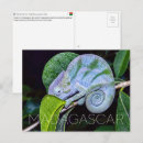 Recherche de panthere cartes postales Faune