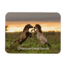 Recherche de cheval magnets Paysage