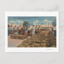 Recherche de tarpon springs cartes postales Ressorts