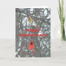 Recherche de perruche vœux cartes Photographie