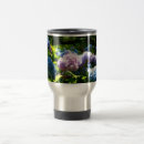 Recherche de hortensias tasses Pour tous
