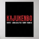 Recherche de combat de karaté posters Kung fu