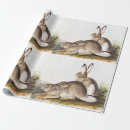 Recherche de rocheux papier cadeau Vintage