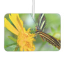 Recherche de ailes voiture accessoires Papillon