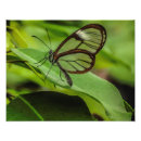 Recherche de ailes papillon posters Pour elle
