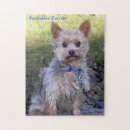 Recherche de yorkshire puzzles Terrier