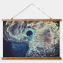 Recherche de oeil ouvert posters Animal