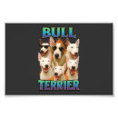 Recherche de chien de bull terrier art Chiot