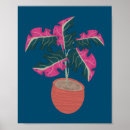 Recherche de arbre tropical posters Plante