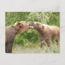 Recherche de ours bruns cartes postales Alaska