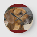 Recherche de animaux familiers horloges Maison